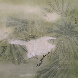 精品花鸟