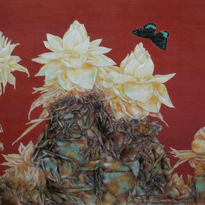 精品花鸟