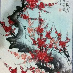 寒梅傲雪