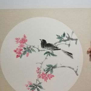 喜鹊海棠