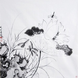 蜻蜓点荷