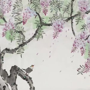 紫藤花开