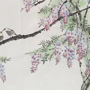 紫藤花开