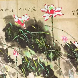 荷花作品