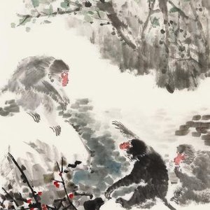 丹果岁寒心