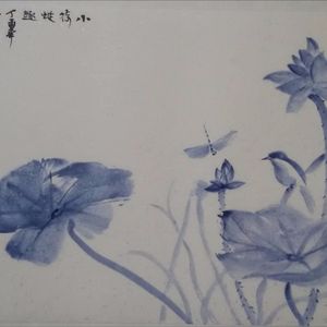 小荷蜓趣