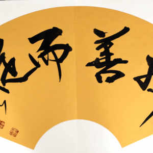 《择善而从》