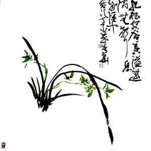 《兰》