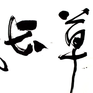 《萱草长茂》