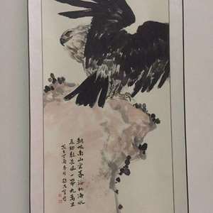 鹰
