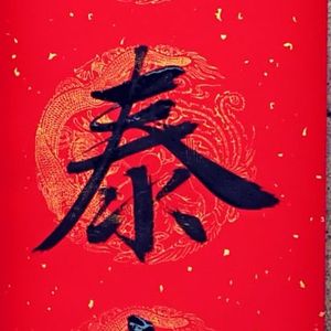 民安国泰