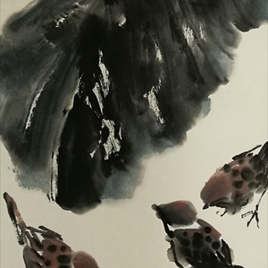 蕉雨