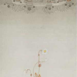 梵花-世界