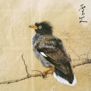 花鸟
