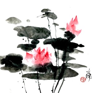 荷花