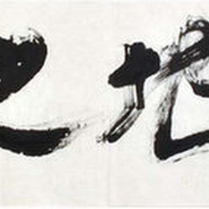 王敏善书法艺术作品赏