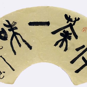 王敏善书法作品赏析！