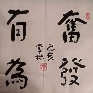 奋发有为