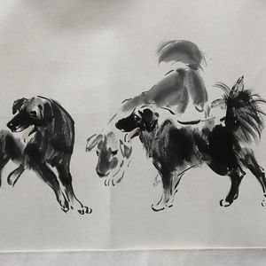 狗