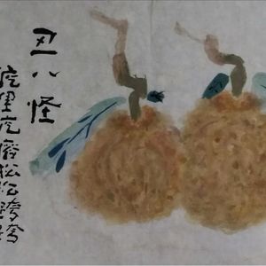 丑八怪