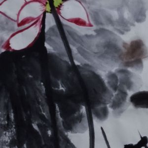 雨后荷花