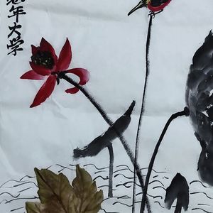 于荷花比美
