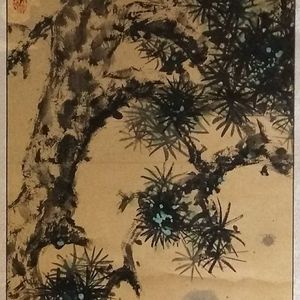 松涛