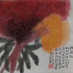 鸡冠花