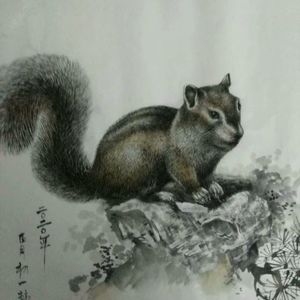 小松鼠