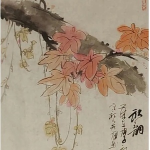 花鸟