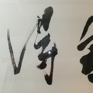 舍得
