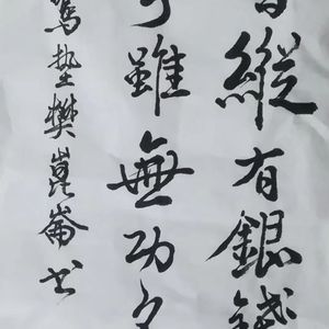 立志一篇书法