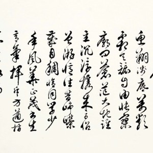 盛荣桂书法