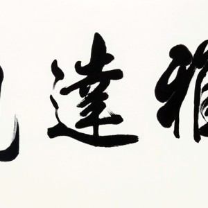 盛荣桂书法