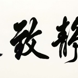 盛荣桂书法