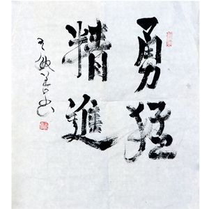 王敏善书法作品赏析！