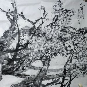 心若梅花开。