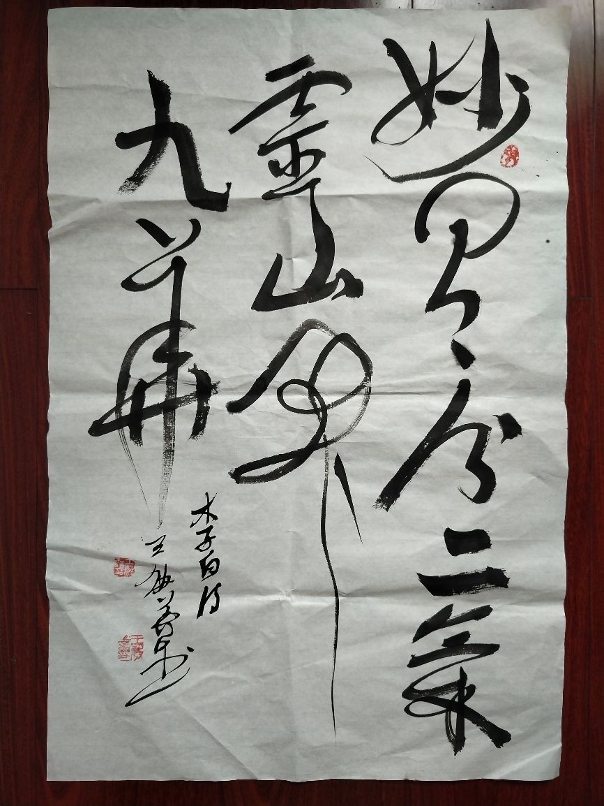王敏善书法赏析！