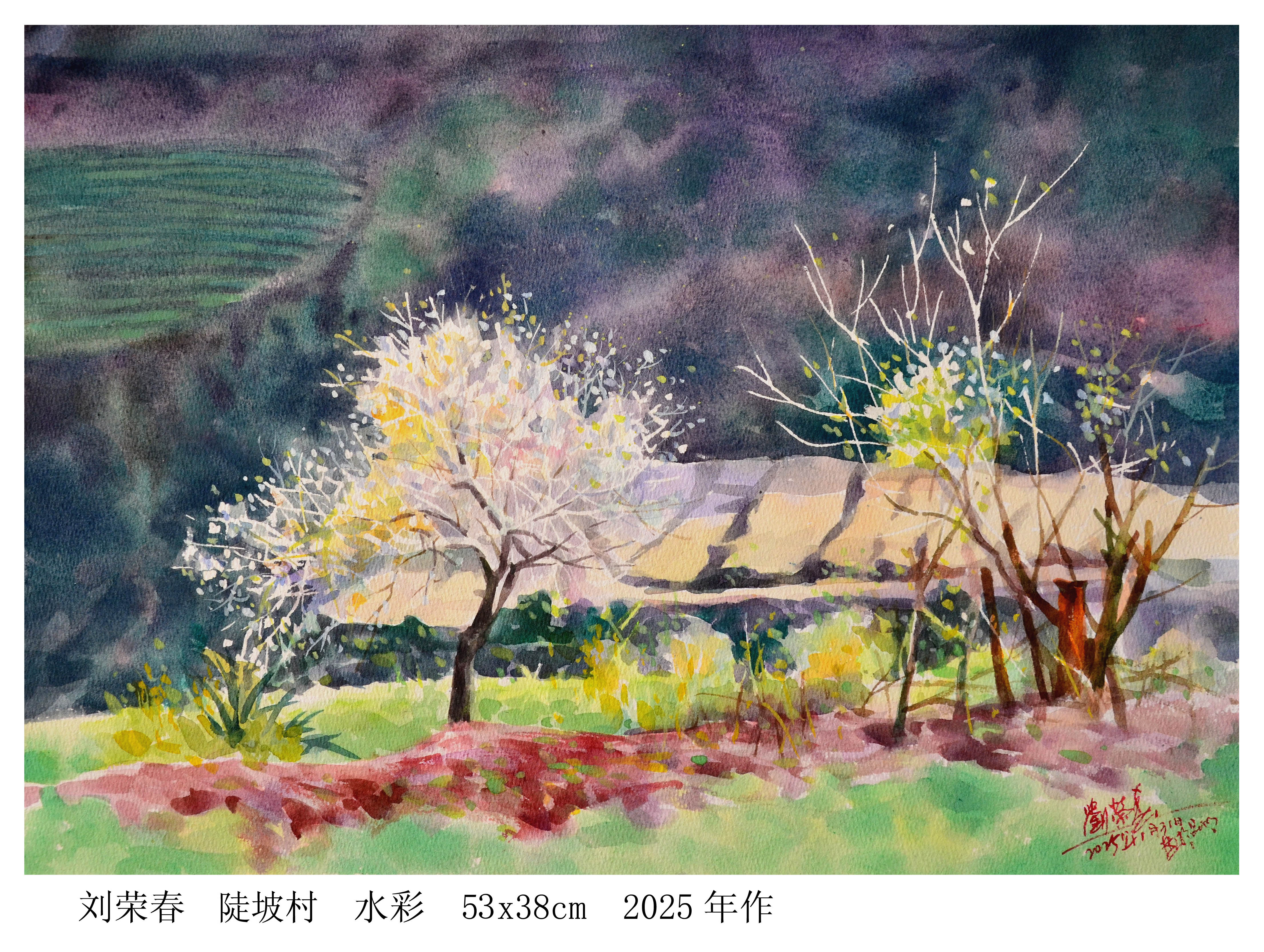 陡坡村