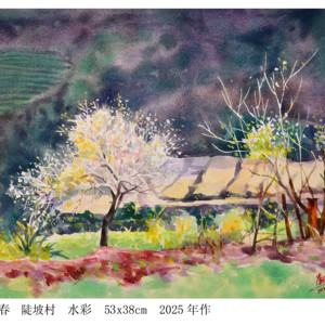陡坡村