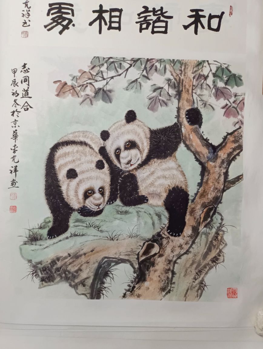 熊猫萌物