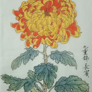 菊花